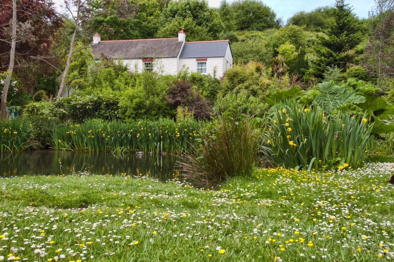 Holiday Cottage Falmouth Penryn Dış mekan fotoğraf